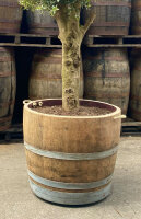 Tonneau à vin original comme bac à plantes - EXTRA HAUTEUR