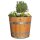 Demi tonneau de châtaignier - comme bac à fleurs, pot de fleurs, jardinière - huilé