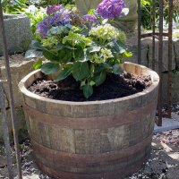 Demi-tonneau , pot de fleur original dun baril à Whisky  sans trous de drainage (mini étang), naturel, sans roulettes, sans poignées